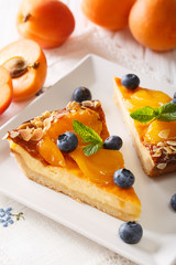 Cheesecake with apricots, blueberries, mint and almonds close-up on a plate. vertical