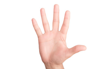 Hands concept. Gesturing