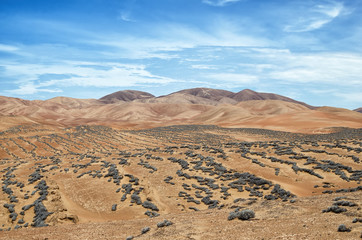 Fototapeta na wymiar Shapes and colors of the desert