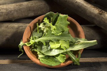 foglie di rucola dentro ciotola in coccio sopra tronchi di legno