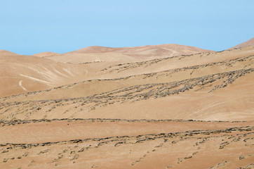 Fototapeta na wymiar Geometry of the desert