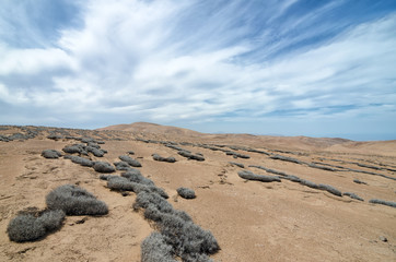 Desert under stunning cloudy sky