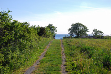 Fototapeta na wymiar Green pathway to the coast