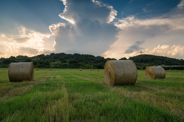 Golden hay bales in countryside