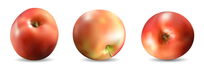 Apples.3d vector icons set. Realistic illustration