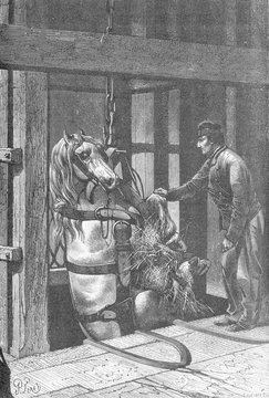 Coal - Horse - Le Creusot. Date: 1869