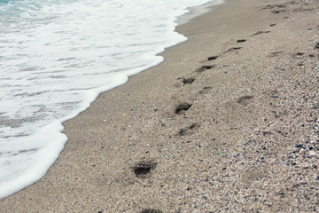 Soft wave of the sea on the sandy beach