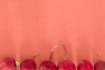 A frame of radish on a pink background. Kitchen background. Template for design.