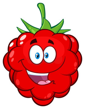 Happy Raspberry Fruit Cartoon Mascot Character. Illustration Isolated On White Background