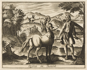 Ocyrrhoe - Mare