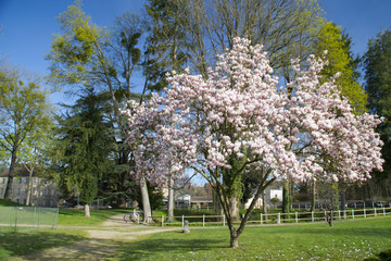 Gray - parc de la Maison pour tous