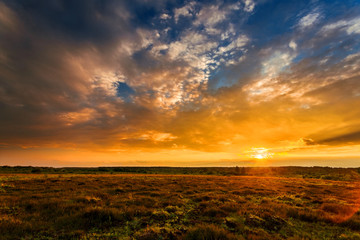 Naklejka premium Summer field full of grass and sunset sky above. Beautiful sunset landscape.