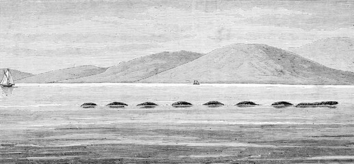 Scots Lake Monster. Date: 20-21 August 1872 © Archivist