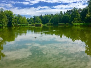 Rumensee im Kanton Zürich in der Schweiz