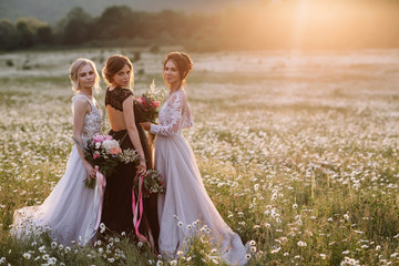 three beautiful girls brunette and blonde,brown-haired woman enjoying Daisy field,nice long dresses, pretty girl relaxing outdoor, having fun, happy young lady and Spring green nature, harmony concept