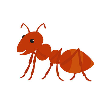 Cute ant cartoon.Vector illustration
