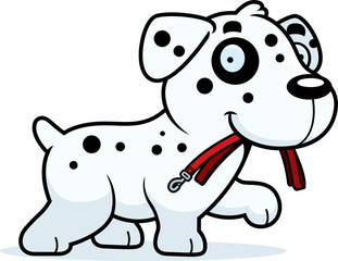 Cartoon Dalmatian Leash