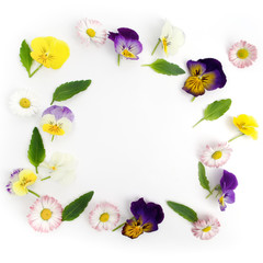 frame with wildflowers on white. Flat lay. Top view