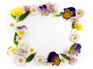 frame with wildflowers on white. Flat lay. Top view