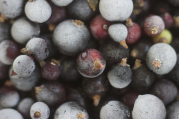 frozen berry