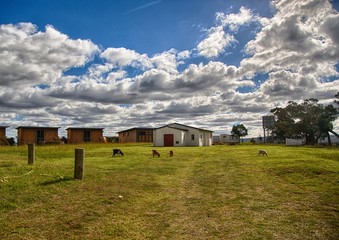 Landscape of the eastern cape of South Africa