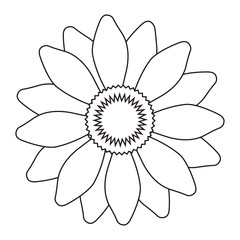 Isolated flower outline