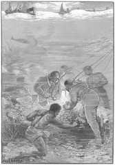 Pearl Fishing - Australia. Date: circa 1880