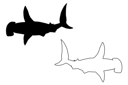 Shark hammerhead silhouette vector, silhouette fish, 
