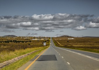 Landscape of the eastern cape of South Africa