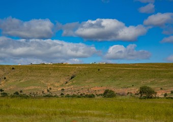 Obraz premium Landscape of the eastern cape of South Africa