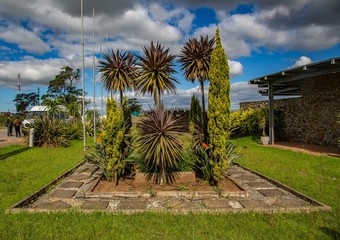 Fototapeta premium Flowers and trees at the Nelson Mandela Museum in Qunu