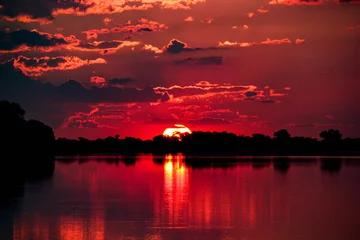 Foto auf Acrylglas Nach Farbe Sonnenuntergang am Chobe River, Botswana