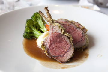 Lamb