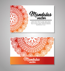 mandala vintage template  vector illustration graphic design