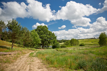 View of summer  landscape