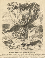Crinoline in High Wind. Date: 1866