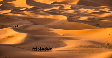 Caravan in the Sahara desert, Morocco - obrazy, fototapety, plakaty