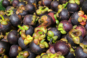 Pile of Ripe Purple Mangosteen Fruits with Green Stems for Background, Banner