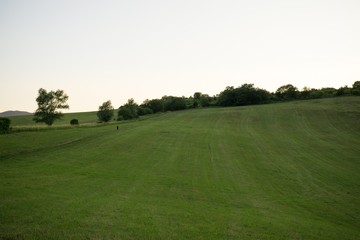 Green meadow with trees and views to mountains. Slovakia