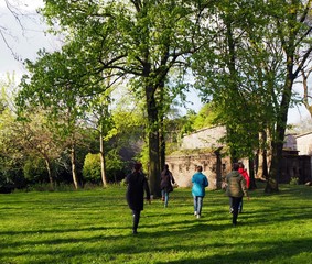 Fototapeta premium Gruppe von Menschen macht Thai Chi im Park