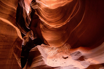 Antelope Canyon, Arizona, United States