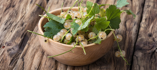 white currant berries