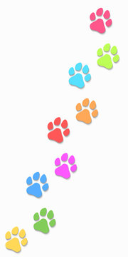 Dog tracks isolated on white background. Vertical position. Multicolored tracks