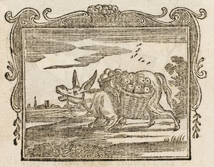 Fable - Discontented Ass