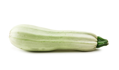 zucchini isolated