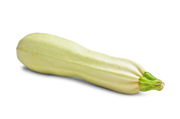 zucchini isolated