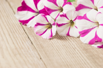 flowers on wooden background