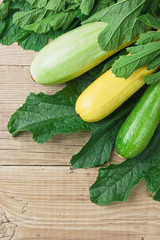 zucchini with leaves