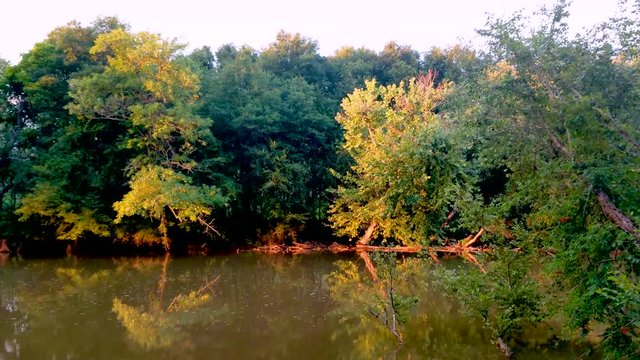 Peaceful Calming River Flow