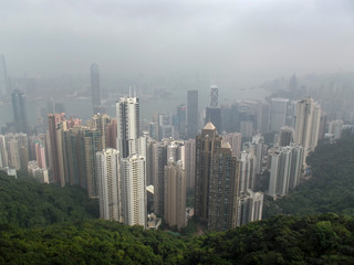 Fototapeta na wymiar Skyscrapers over the forest